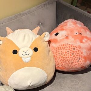 Adorable Squishmallows
